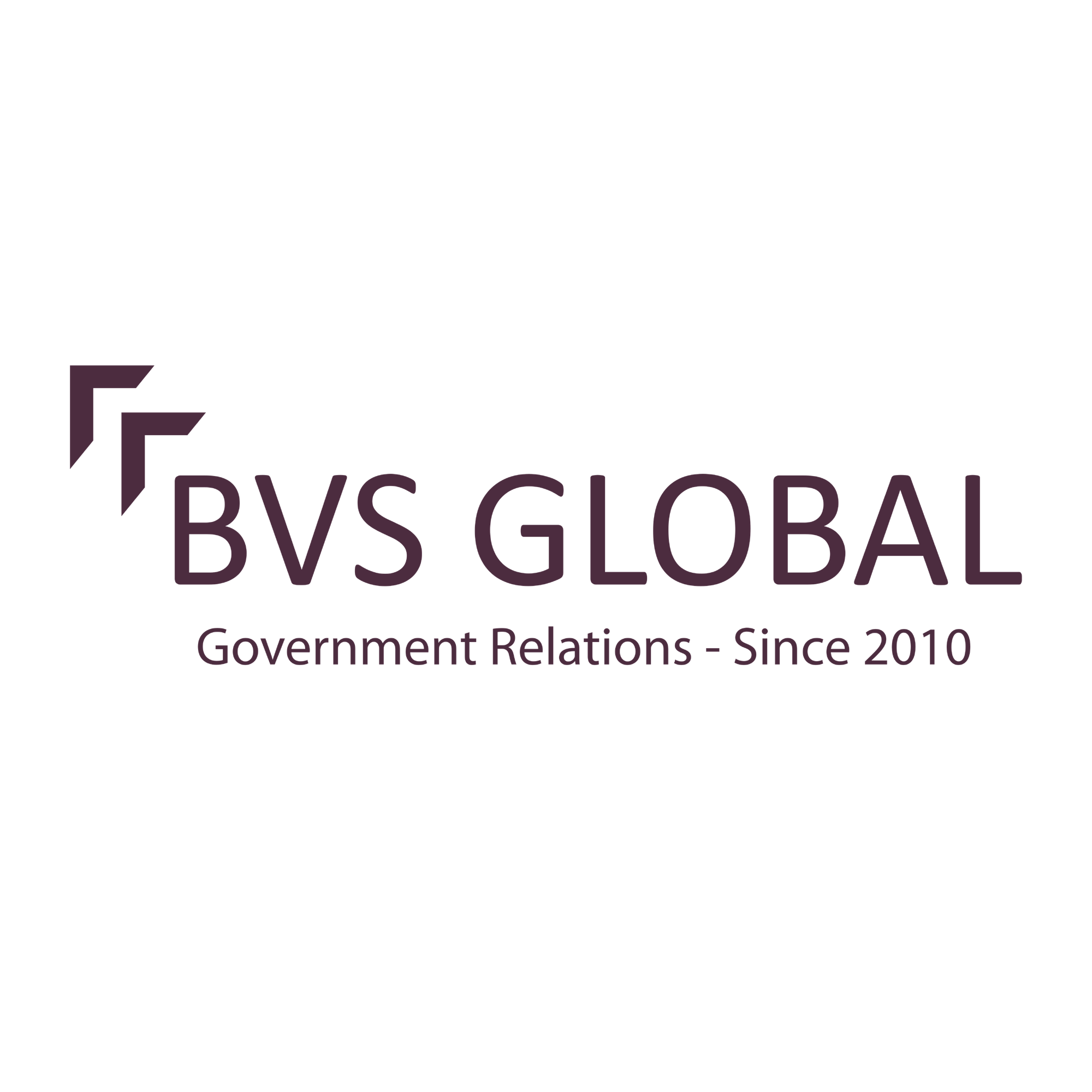 BVS Global